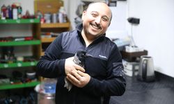 Yaralı halde bulduğu karga en yakın arkadaşı oldu