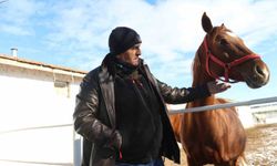 At yetiştiriciliğinin kış zorlukları