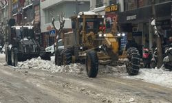 Elazığ'da karla mücadele ekipleri sahada