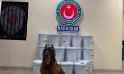 Gümrükler Muhafaza ekiplerince düzenlenen operasyonlarda 1 milyar 945 milyon lira değerinde uyuşturucu madde yakalandı