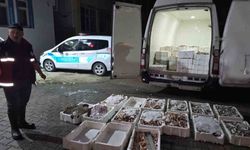 Kastamonu'da yasa dışı avlanan 1,5 ton balığa el konuldu