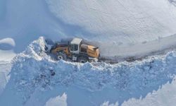 Muş'ta 51 köy yolu ulaşıma kapandı