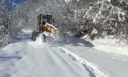 Ordu'da karla mücadele: 3 günde toplam 18 bin km yol ulaşıma açıldı