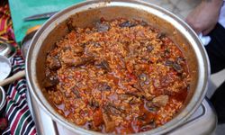 Gaziantep mıcırık aşı