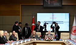 Sağlık Bakanı Memişoğlu, TBMM Kadın Erkek Fırsat Eşitliği Komisyonu'nda sunum yaptı: