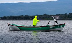 Yaren leylek göl manzaralı yuvasının bulunduğu Bursa'ya 15'inci yılında da geldi