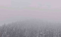 Ilgaz Dağı'nda kar yağışı etkili oldu