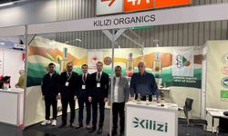 Kilis zeytinyağı dünyaya açıldı: 3 ülkede raflarda