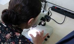 Kolorektal kanser tedavisi için yeni umut