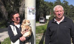 Rus sahipleri, kaybolan köpeklerini sokak sokak arıyor: Canlı bulana 100 bin, ölü bulana 10 bin ödül
