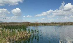 Sultan Dağları'ndaki kar Eber Gölü ve kiraza umut oldu