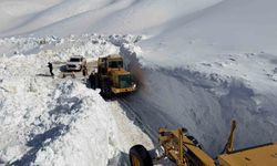 Van'da 3 bin 300 rakımlı mezra yolunda karla mücadele sürüyor