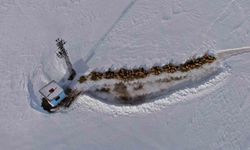 Van'da besicilerin karda zorlu mesaisi sürüyor