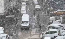 Van'da yoğun kar yağışı etkili oldu