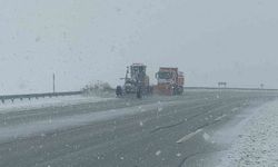 Van'ın yüksek kesimlerde lapa lapa kar yağdı