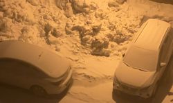 Yüksekova'da kar yağışı ve sis etkili oluyor