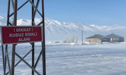 Yüksekova'da kuduz vakası