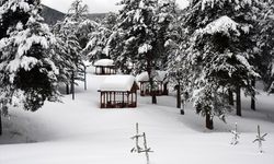 Ardahan ve Kars'ta kar yağışı etkili oldu