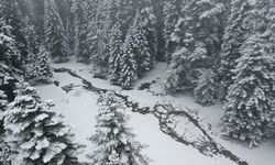 Bolu'nun yüksek kesimlerinde kar yağışı etkisini sürdürüyor