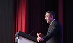 Cumhurbaşkanı Yardımcısı Yılmaz, Midyat'ta 'Toplu Açılış Töreni'nde konuştu: