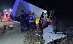 Edirne'de tırla kamyonet çarpıştı, 2 kişi öldü, 1 kişi yaralandı