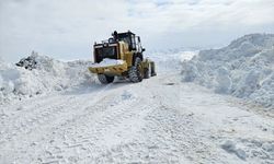 Erzurum, Tunceli ve Kars'ta kar nedeniyle 198 yerleşim yerinin yolu kapandı