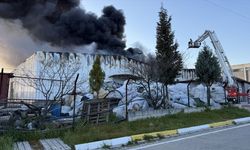 Tire'de organize sanayi bölgesindeki depoda çıkan yangın kontrol altına alındı