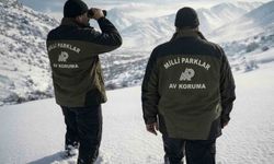 Aladağlar'da yasa dışı avlanan şahsa 984 bin TL ceza