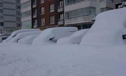 Bitlis mart ayında kara gömüldü