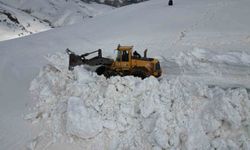 Bitlis'te 5 metreyi bulan karda yol açma çalışması