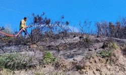 Defne'de çıkan bahçe yangınından alevler yükseldi