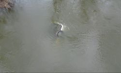 Edirne'de taşkında nehre düşen otomobil 1 ay sonra bulundu