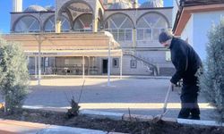 Gönüllü olarak cami önündeki çiçeklerin bakımını yapıyor