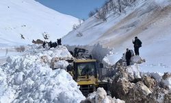 Kar kalınlığı 3 metreyi aşmıştı: Tunceli'de kapalı köy yolu kalmadı