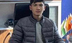 Köpekten kaçarken canından oldu