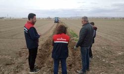 Patates ekimi sezonu başladı