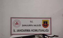 Şanlıurfa'da 3 adet ruhsatsız silah ele geçirildi: 3 gözaltı