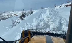 Siirt'te kardan kapanan 120 köy yolunun 105'i açıldı