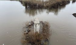 Ardahan'da kar ve sağanak nedeniyle Kura Nehri'nin debisi yükseldi