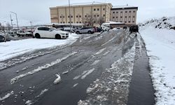 Ardahan'da kar yağışı etkili oldu