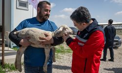 Bakan Yumaklı, TİGEM Polatlı Tarım İşletmesi Müdürlüğü'nü ziyaret etti