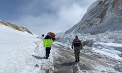Bitlis'te kara yoluna düşen çığ temizlendi