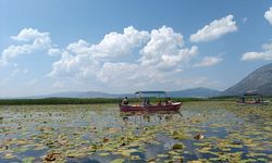 Işıklı Gölü'nde nilüfer çiçeği turları 1 Mayıs'ta başlayacak