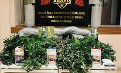 İzmir'de evde uyuşturucu yetiştiren 2 şüpheli yakalandı