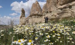 Kapadokya'da peribacaları baharda çiçeklerle buluştu
