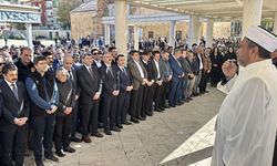 Kırşehir'de nefes borusuna çilek kaçan 2,5 yaşındaki çocuk hayatını kaybetti