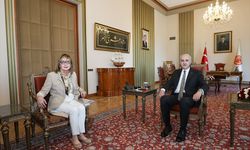 TBMM Başkanı Kurtulmuş, Bosna Hersek'in Ankara Büyükelçisi Colakovic'i kabul etti