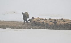 Van'da ilkbaharda kar etkili oldu
