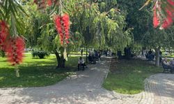 Adana'da termometreler 41 dereceyi gösterdi