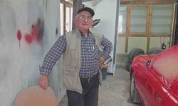 Ahırdan kaçan danalar oto tamirciyi bastı, görgü tanığı o anları anlattı: 'Nazikçe geldiler, nazikçe gittiler'